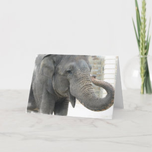 Trumpeting Elephant Greeting Card