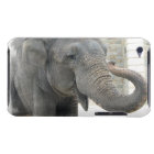 Trumpeting Elephant iTouch Case