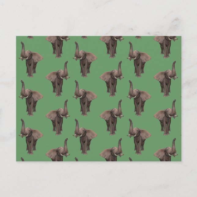 Trumpeting Elephant Postcard (Front)