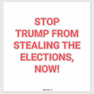 TRUMP'S STEALING ELECTIONS Hankamer Artjunkhaus