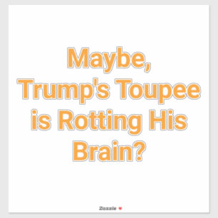 Trump's Toupee Rotting Brain Hankamer Artjunkhaus