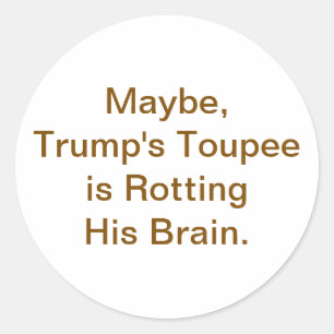 Trump's Toupee Rotting Brain Hankamer Artjunkhaus Classic Round Sticker