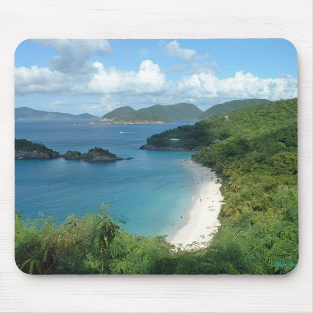 Trunk bay, mouse pad (Front)