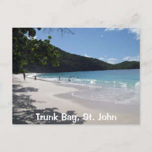 Trunk Bay, St. John Postcard