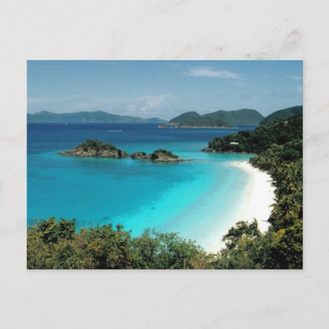 Trunk Bay, St John's Island Postcard (Front)