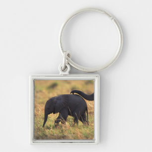 Trunk of elephant touching offspring , Kenya , Key Ring