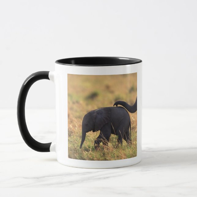 Trunk of elephant touching offspring , Kenya , Mug (Left)