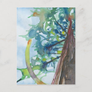 Trunk Postcard