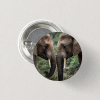 "Trunk to Trunk: A Gentle Elephant Embrace"
