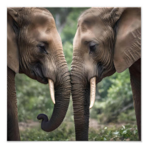 "Trunk to Trunk: A Gentle Elephant Embrace" Photo Print