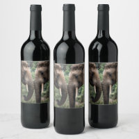 "Trunk to Trunk: A Gentle Elephant Embrace"