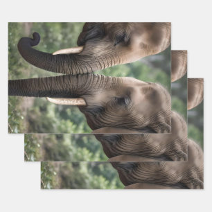 "Trunk to Trunk: A Gentle Elephant Embrace"  Wrapping Paper Sheet