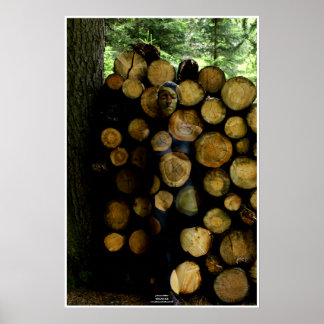 Trunks by Johannes Stötter Poster