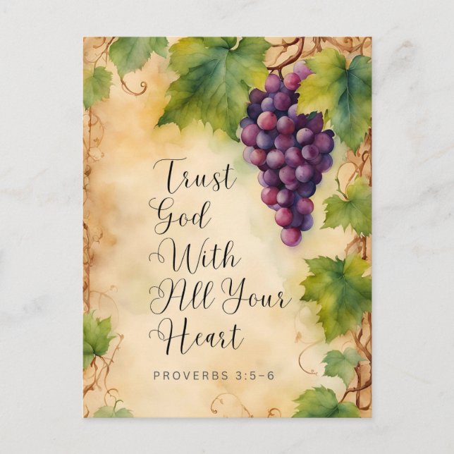 Trust God With All Your Heart Proverbs 3:5-6 Postcard (Front)