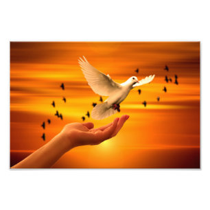 Trust God with Dove in Hand Photo Print