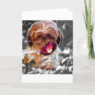 trust more new.jpg card