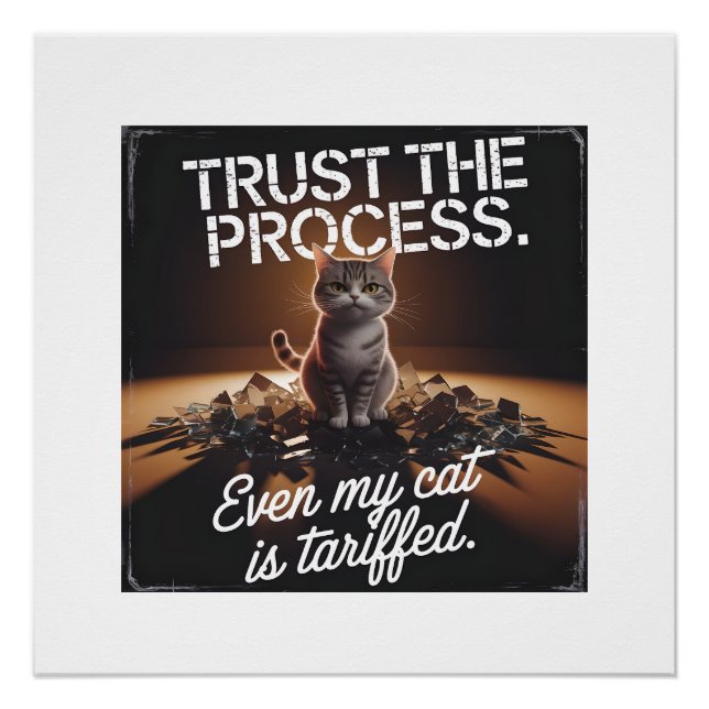 Trust The Process Cat Office Humour Meme Poster (Front)