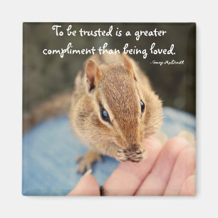 Trusting Chipmunk Magnet