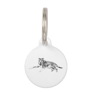 Trusty Mark, Gentle Glance Pet Tag