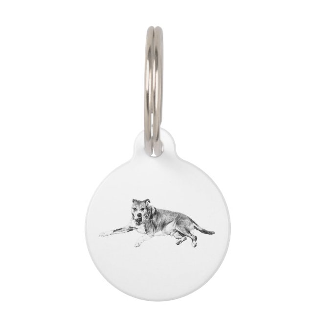 Trusty Mark, Gentle Glance Pet Tag (Front)