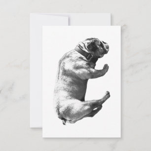 Trusty Mark, Warm Thanks Thank You Card