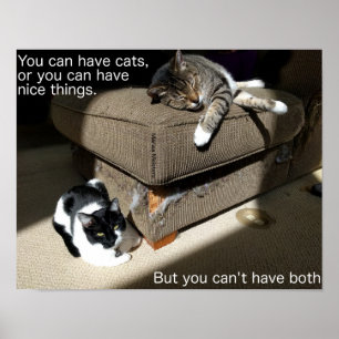 Truth About Cats Meme Poster