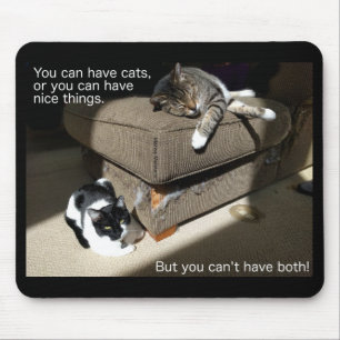 Truth in Cat-vertising Cat Meme Mouse Pad