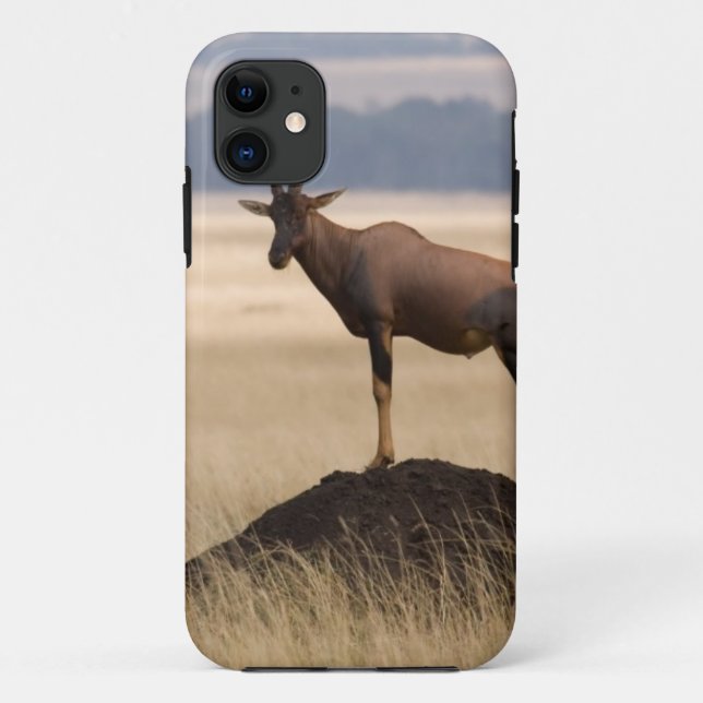 Tsessebe Antelope On Lookout For Predators Case-Mate iPhone Case (Back)