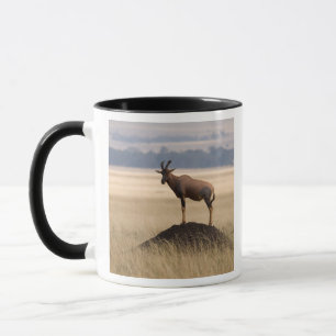 Tsessebe Antelope On Lookout For Predators Mug
