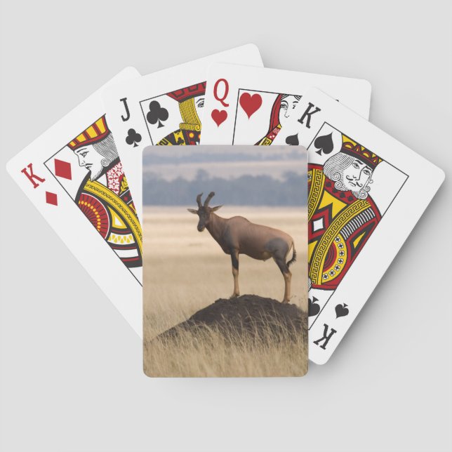 Tsessebe Antelope On Lookout For Predators Playing Cards (Back)