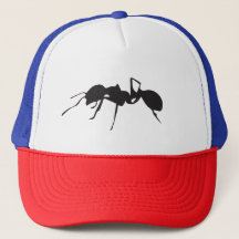 TSP Ant Hat