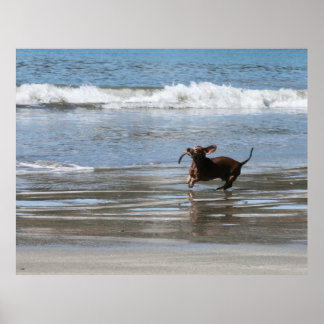 Tsunami Harry Poster