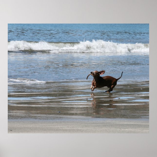 Tsunami Harry Poster (Front)