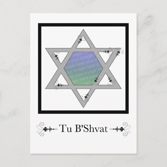 Tu B’Shvat! : star of david photo card (Front)