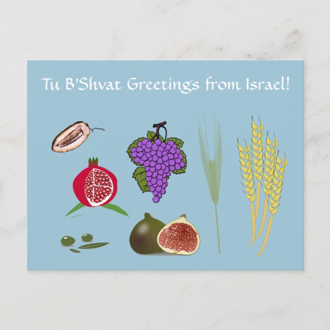 Tu Bishvat - 7 minim Postcard (Front)