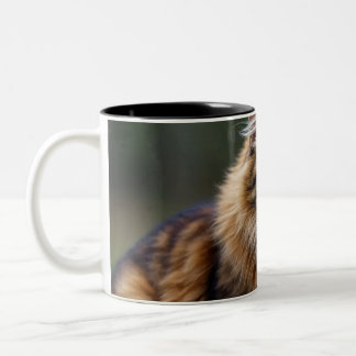 Tu Felin,Cat lovers Two-Tone Coffee Mug