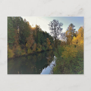 Tualatin River, Oregon Postcard