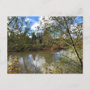 Tualatin River, Oregon Postcard