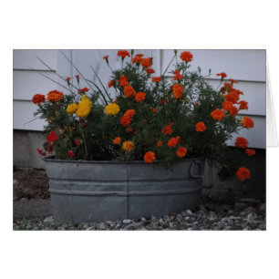 Tub Of Autumn Hues