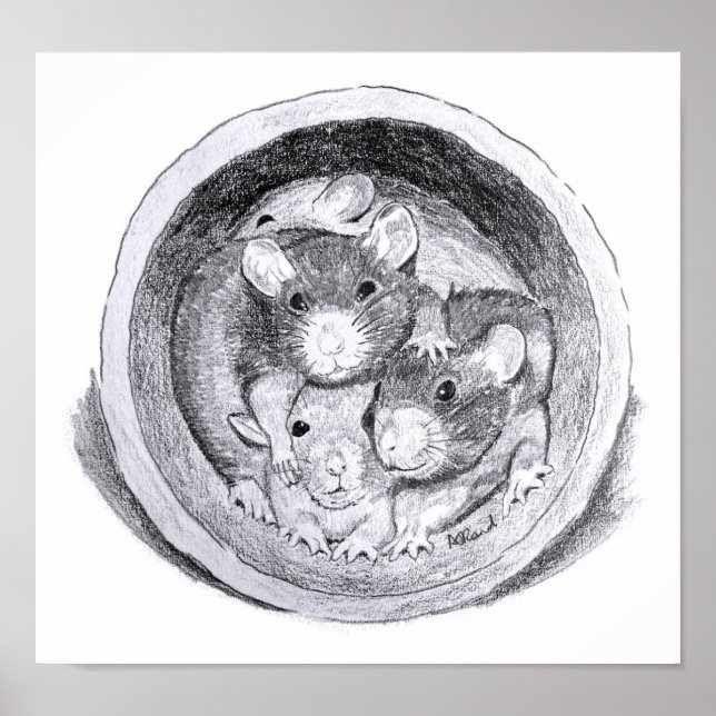 Tube rats poster (Front)