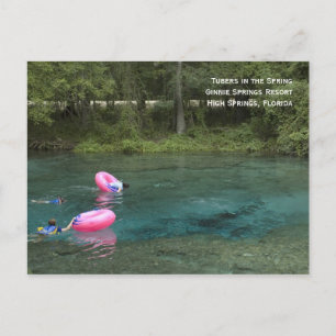 Tubers in Spring Postcard