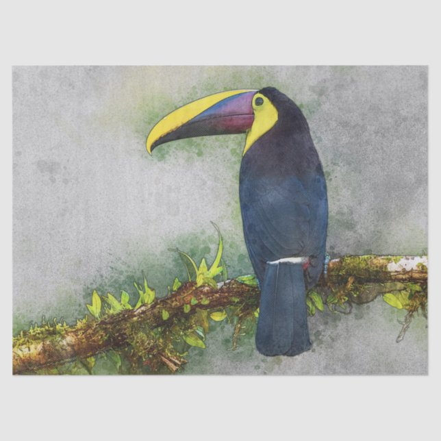 tucan bird tissue paper (Front)