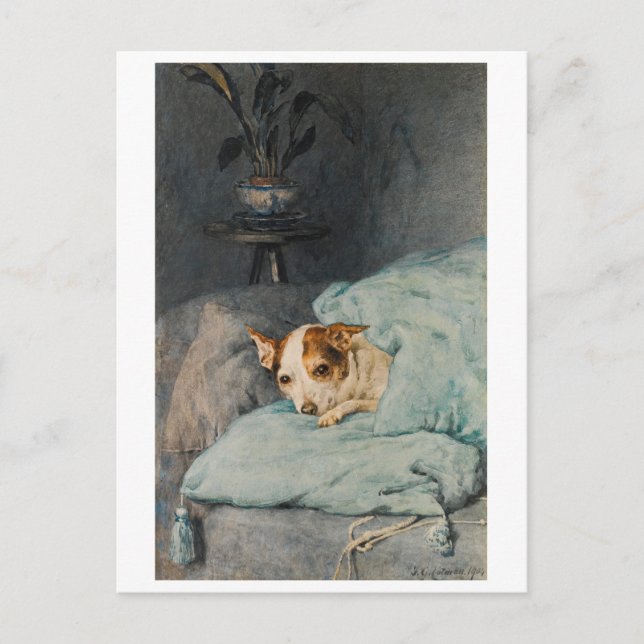 Tucked Up - Dog Postcard (Front)