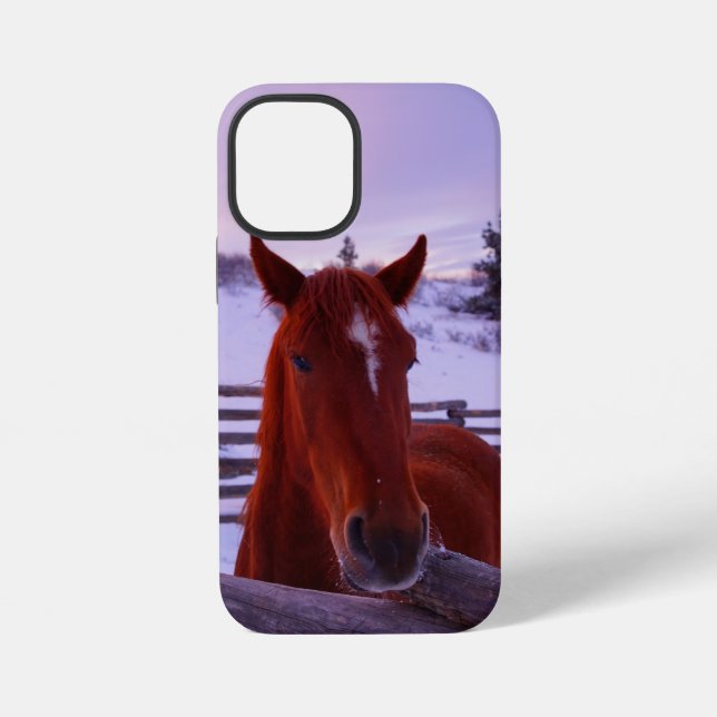 Tucker in the Snow iPhone 12 Mini Case (Back)