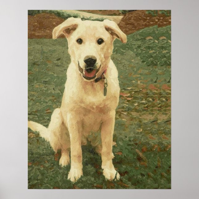 Tucker  poster (Front)