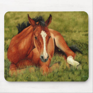 Tuckered Out - Resting Foal Mousepad