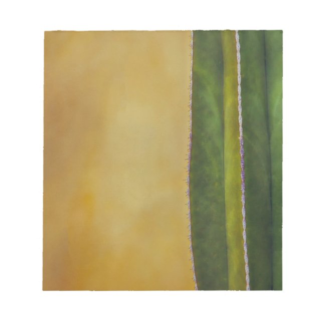 Tucson Arizona cactus  Notepad (Front)