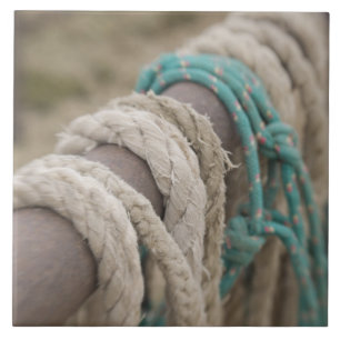 Tucson, Arizona: Ropes and hanrnesses used on Ceramic Tile