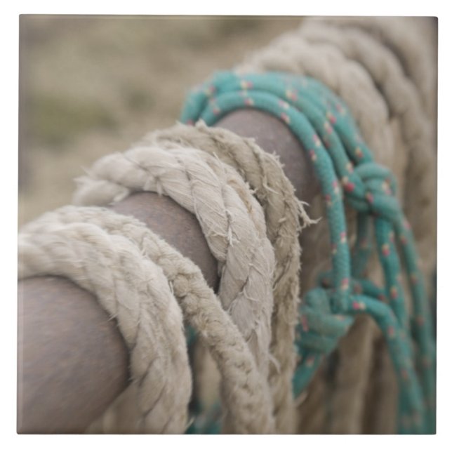 Tucson, Arizona: Ropes and hanrnesses used  on Ceramic Tile (Front)