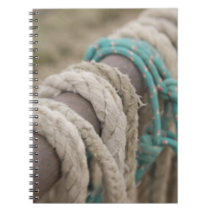Tucson, Arizona: Ropes and hanrnesses used  on Notebook